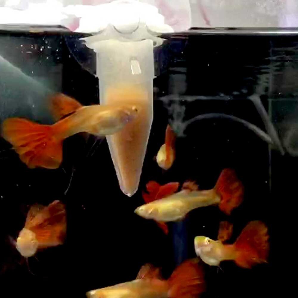 Automatisk fiskefoder tilspidset akvarium rød orm fodring foder tragt kop fiskefoder værktøj akvariefoder med sugekop