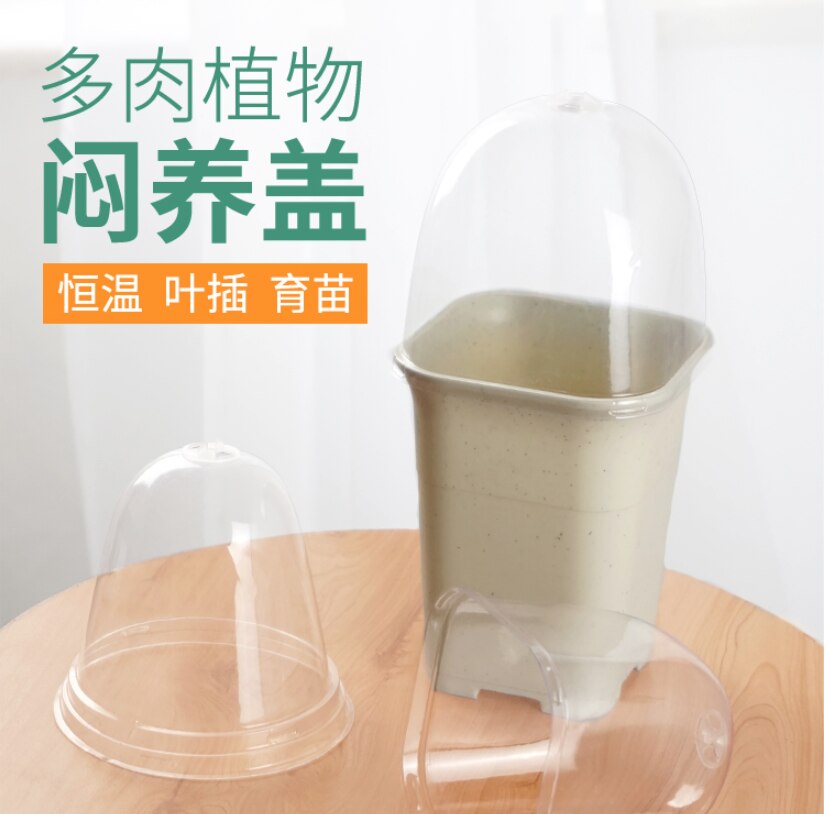 10pcs/set 4.2" GrowAway Small Reusable Plastic Mini Greenhouse Garden Cloche Dome Plant Covers Frost Guard Freeze Protection