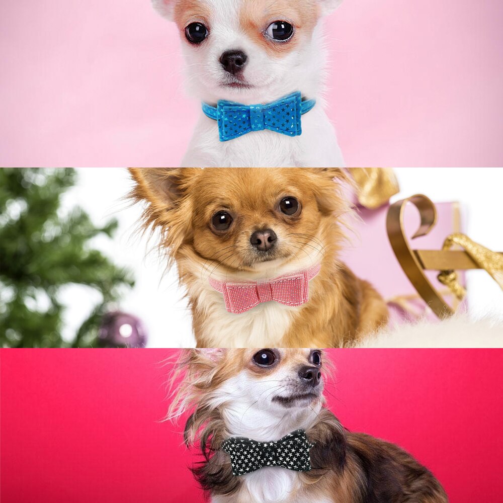 Bowknot Dog Collar Dogs Cat Collars Bow Tie Padded Puppy Collars for Small Pets Cat Kitten Doggy Chihuahua Blue Pink Black