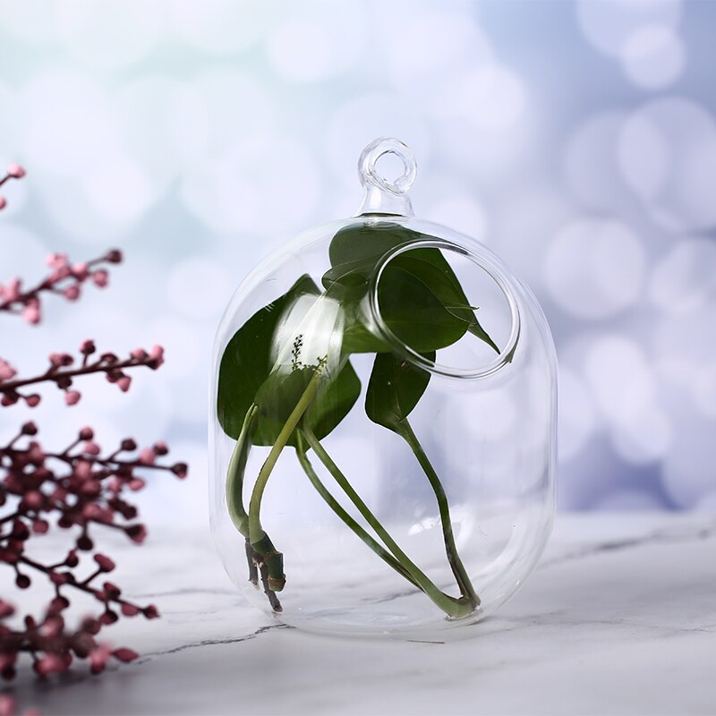 Transparante Glazen Vazen Vissenkom Handgemaakte Opknoping Opknoping Vazen Vis Tanks Aquarium Air Plant Vazen Bureau Planten Kom Decoratie