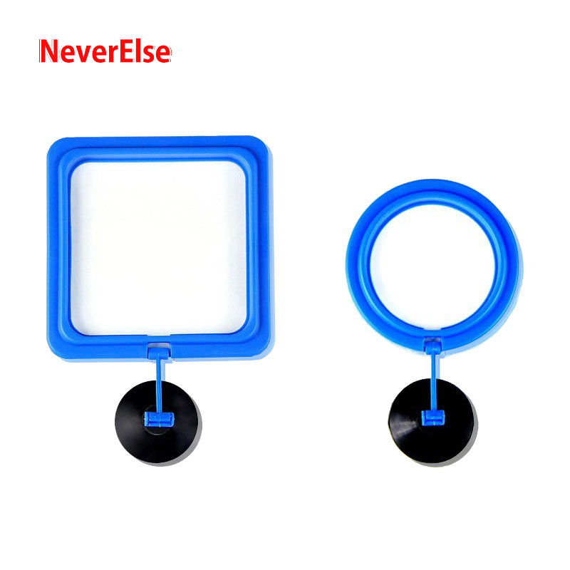 Aquarium Fish Tank Feeding Ring Feeder Circle Floa... – Grandado