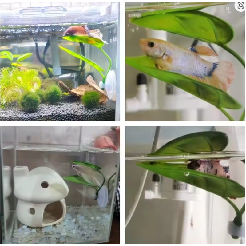 1PC Betta Vis Rest Blad Paaien Blad Paaien Sierplant Water Gras Decor Aquarium Blad Planten Decoratie Accessoires