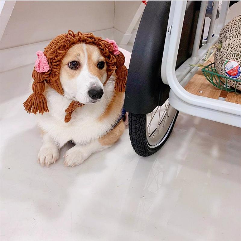 Funny Pet Cat Cap Cute Hair Loop Headgear Cosplay Small Dogs Kitten Knitted Hat Cat Costume Warm Winter Headdress Dog Supplies