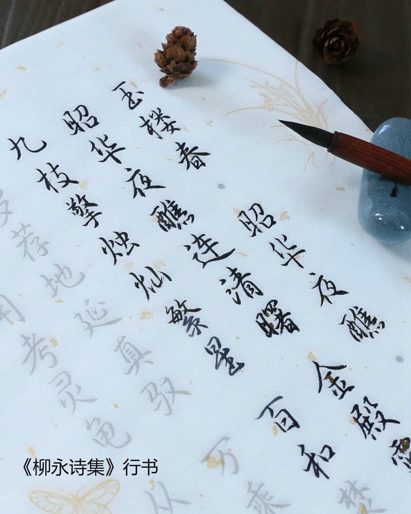 100 Pcs Kalligrafie Copybooks Calligraphie Xuan Papier Gedicht Schrift Beginner Chinese Kleine Reguliere Script Running Script Schrift: H