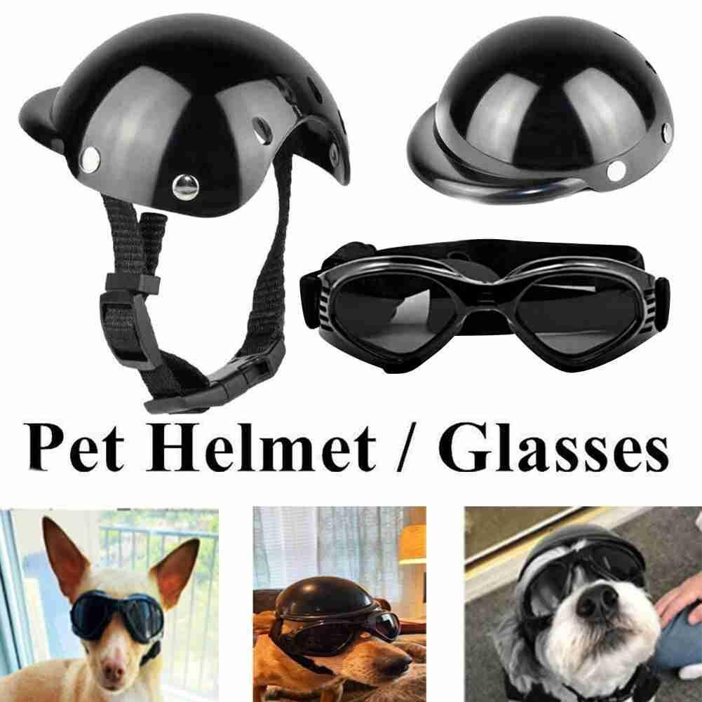 Casco anticolisión para mascota pequeña y bonita, protector de cabeza para perros y gatos, gafas de esquí, casco para mascotas pequeño y negro