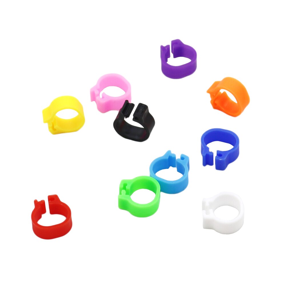 Innen Durchmesser 10mm Kleine Vogel Kunststoff Clip Ring Taube Farbe Fuß Ring 10 Farbe Taube Wachtel Baby Vogel Liefert 100 stück