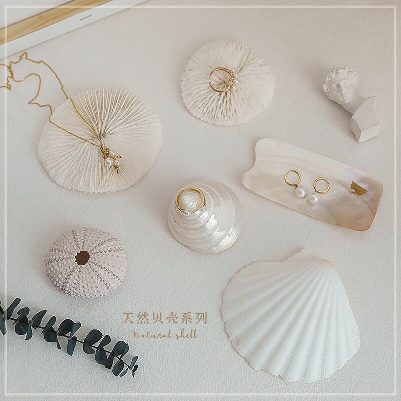 Shell decoration photography accessories photography Retro Props Birthday Party decorations props