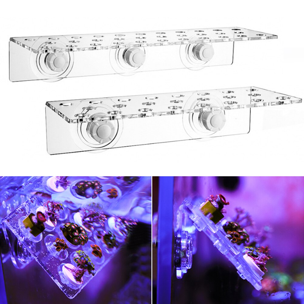 1/3 Lights Fish Tank Fluorescence Coral Frag Rack Bracket Acrylic Aquarium Reef Plugs Holder Mount Water Plant Stand Suction Cup