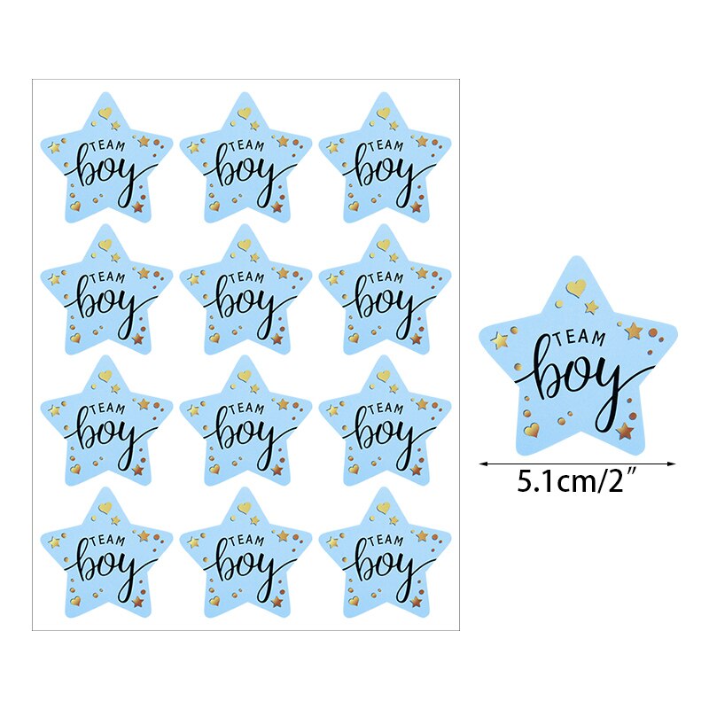 120pcs Team Boy Team Girl Stickers Boy or Girl Vote Sticker for Gender Reveal Party Decoration Baby Shower Packaging Seal Labels: Z01