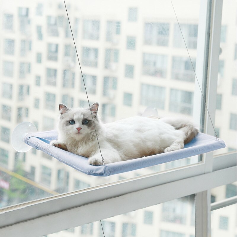 Kat solrigt sæde søde kæledyr hængende senge med 20kg vinduesmonterede kattekat hængekøje komfortable katte kæledyrs seng hylde sæde senge