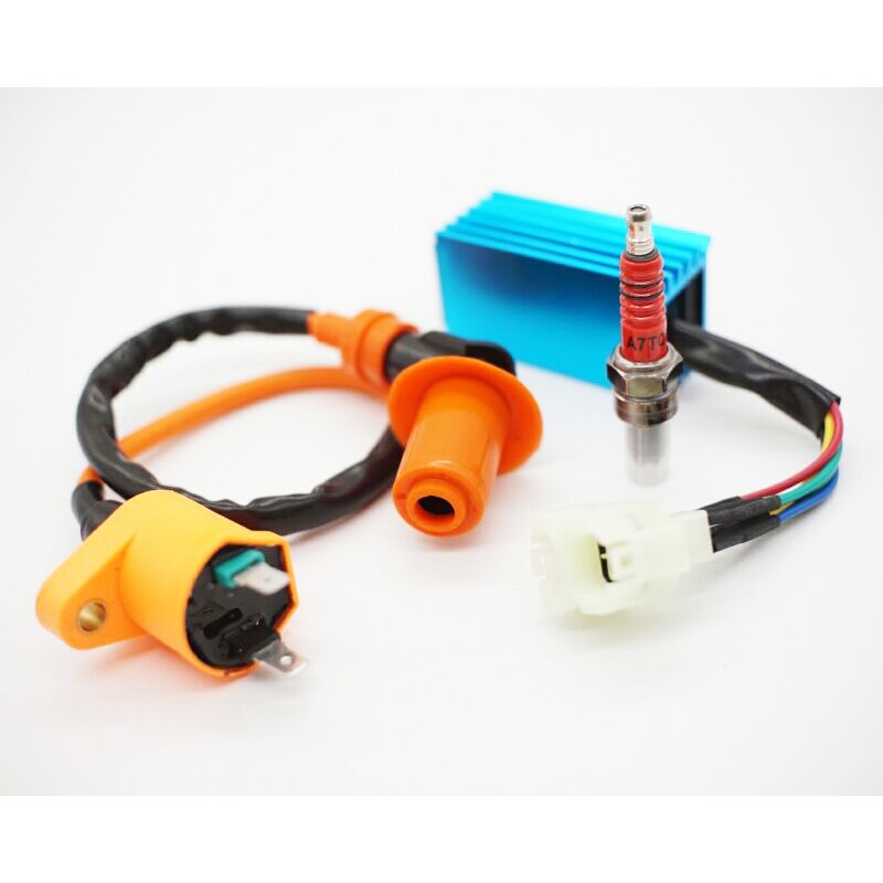 Motorbike Racing CDI Racing Ignition Coil for GY6 50cc 125cc 150cc 250cc Engines Moped Scooter ATV Quad Motorcycle: Default Title