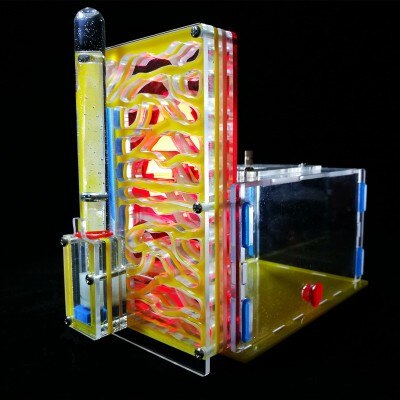 Mini Ant Nest Granja de Hormigas nid fourmis Acryl Ant Farm Insect Cages