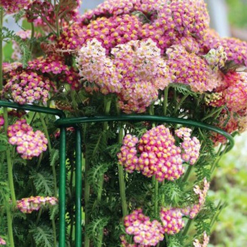 2PCS Semicircular Green Plant Ground Flower Stand Simple Support Flower Shelf Hydrangea Support Frame
