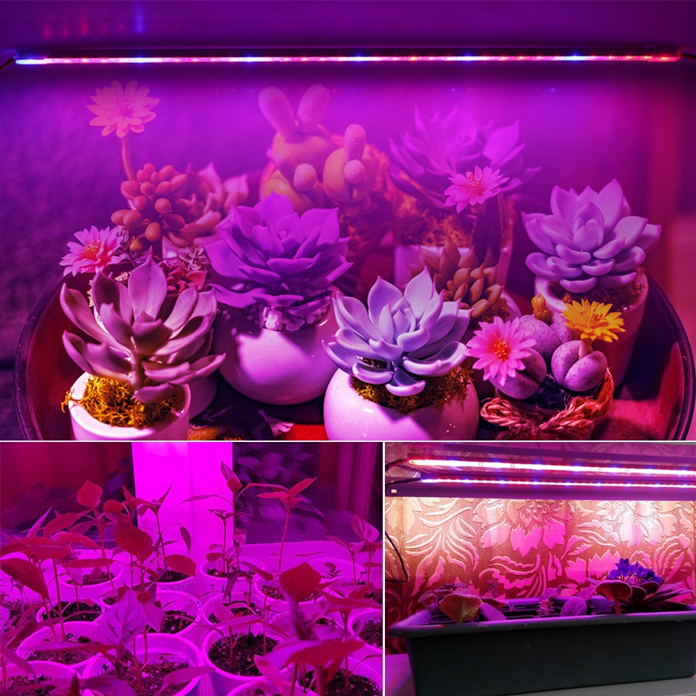 Dc12v led vækstlys  ip68 vandtætte 5730 led stive strimler sikre vækstlamper til akvarie drivhusplante frøplante 5 stk/parti