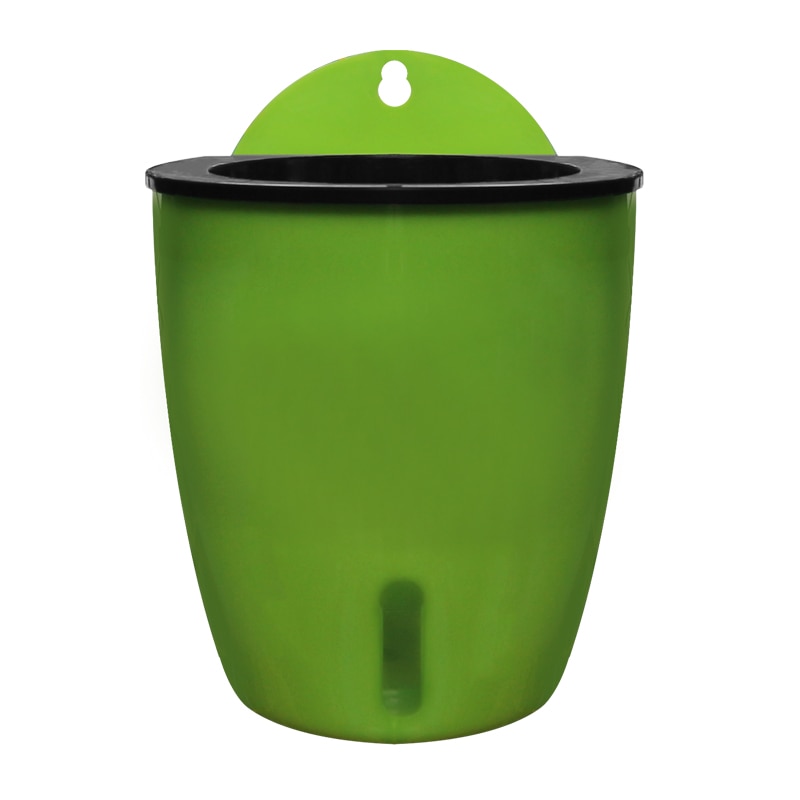 Lui Water Pot Muur Succulent Groene Plant Muur Opknoping Plastic Verdikte Muur Ingemaakte Hydrocultuur Pot: green / S