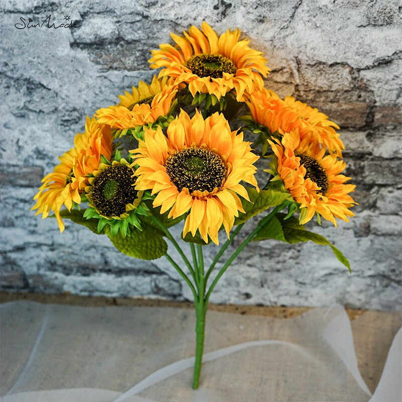 Zonnebloem plant - Helianthus - P15 kopen
