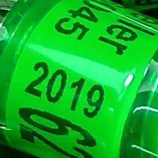 100 stks/set 8mm plastic met blauwe aluminium core ringen duif bands: grass green