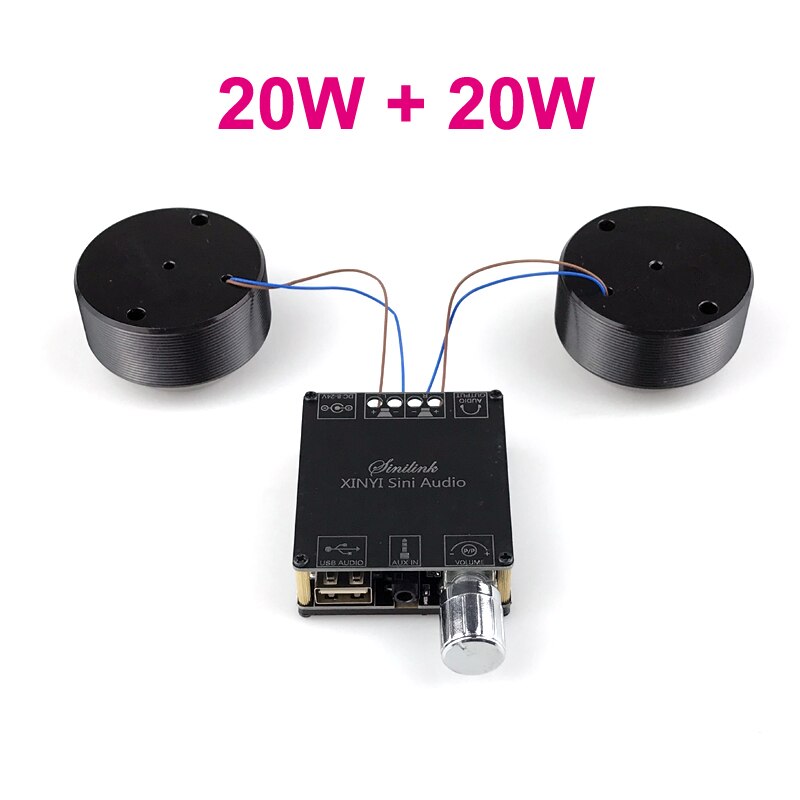 2*25W Audio Portable Resonance Vibration Speaker Bluetooth-Compatible DIY Stereo Class D Power Amplifier Subwoofer HiFi System: 40W