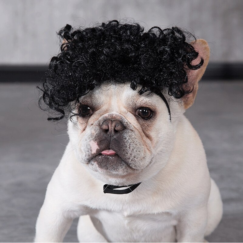 [MPK Store] Curly Dog Wig, Dog Costume, Dog Assessories