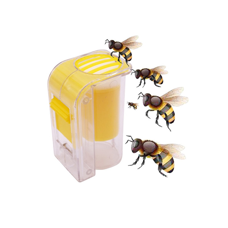 Botella marcadora de reina de abejas, jaula de plástico con émbolo, suministros de apicultura de jardín de felpa, 1 unidad