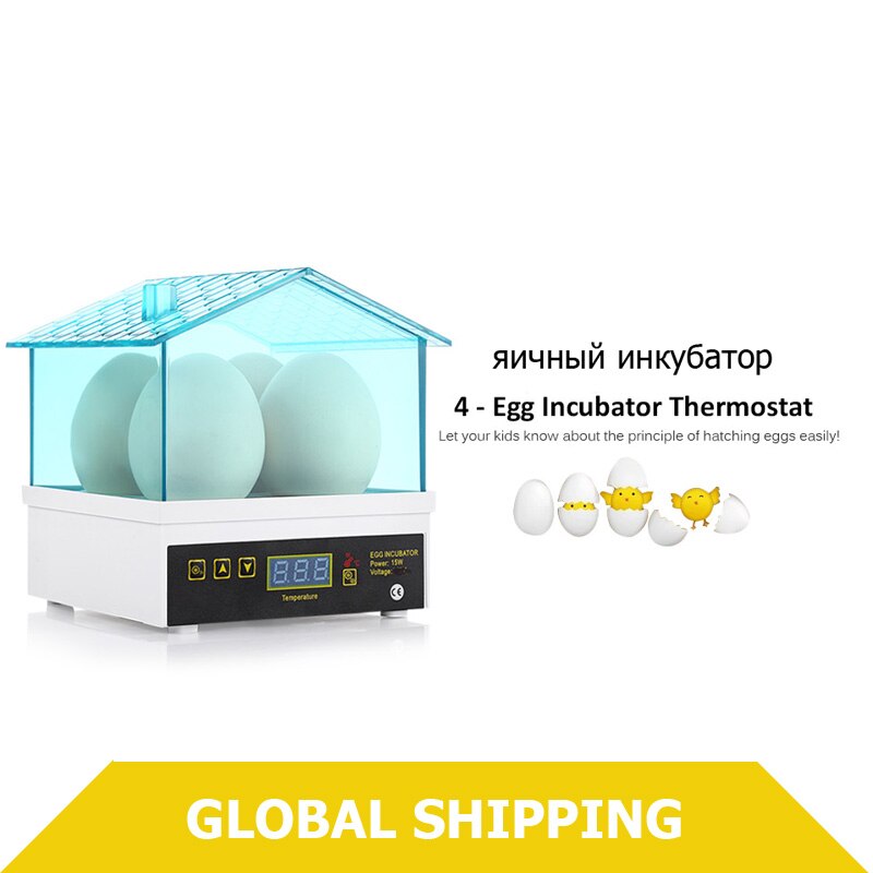 4 Egg Incubator Automatic Temperature Control Small Brooder Hatchery Egg Incubator Hatcher for Chicken Duck Bird Pigeon Quail