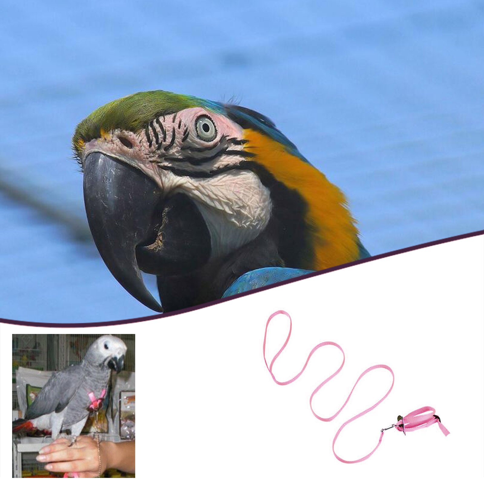 Leash Voor Vogels Papegaaien Verstelbare Anti-Bite Veelkleurige Licht Zachte Vogel Accessoires Harnas En Leiband Voor Tuin Vogels