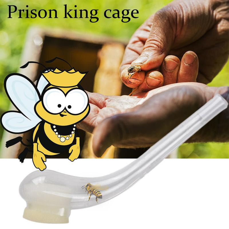 1 stk. bee queen king catcher plastbier værktøj udstyr apicultor catch gribe værktøj store bi biavler produkter forsyninger