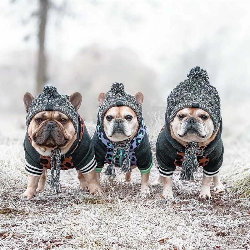 Berretto invernale per cani cappellino di capodanno cappelli divertenti cappelli natalizi cappello di lana per cuccioli con palla per cani di piccola taglia Bulldog francese prodotti per animali domestici