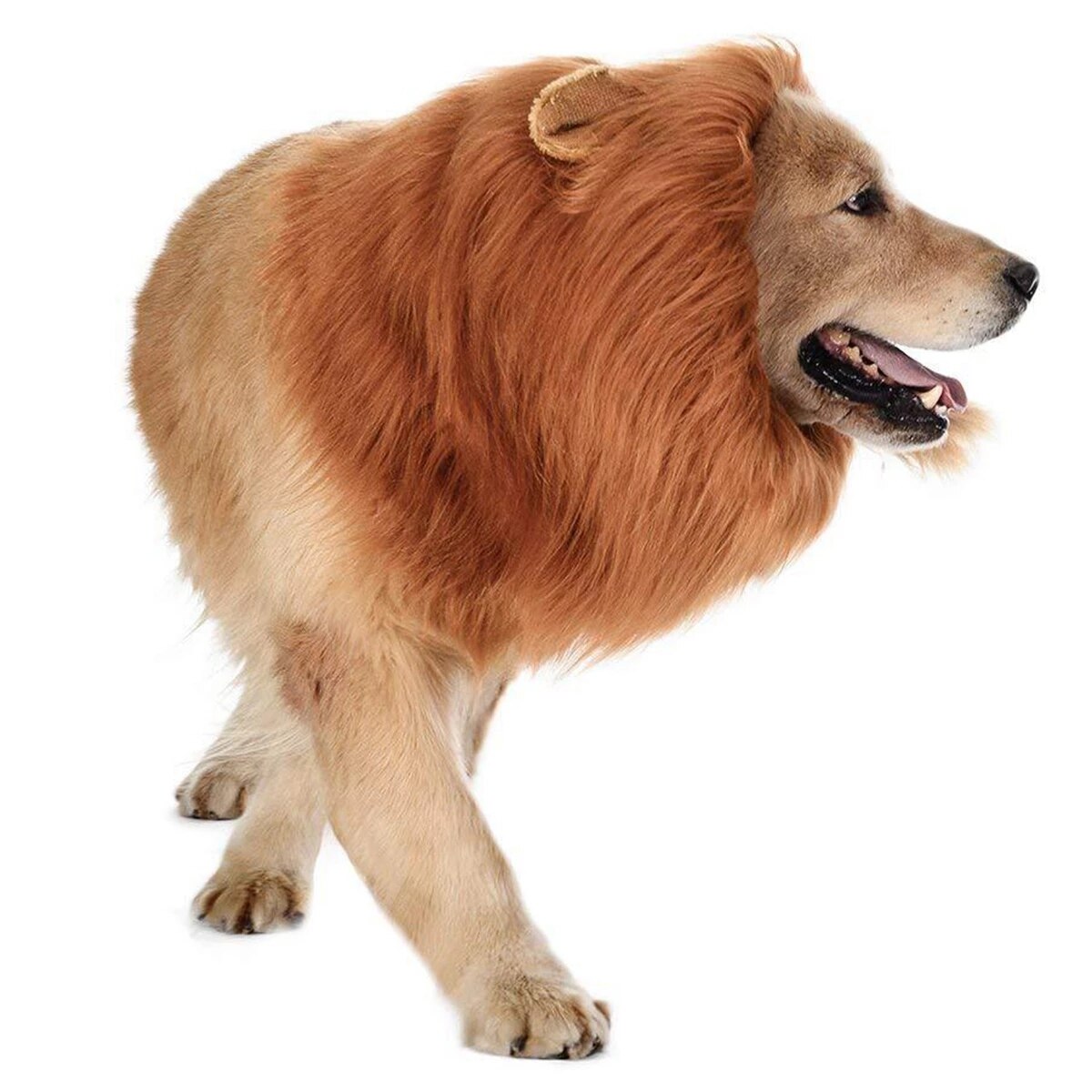 animale domestico cane Leone criniera parrucca decorazioni per capelli parrucca per cani costume per capelli per cani di taglia media grande regalo di Halloween Cosplay cappello divertente abbigliamento per animali domestici