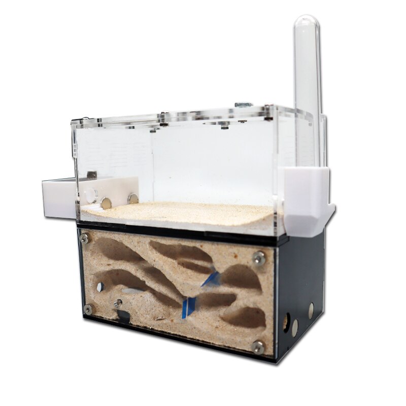 Fourmi ferme poubelle magnétique et abreuvoir pour animaux de compagnie, bol d&#39;alimentation et d&#39;eau, fournitures pour fourmis, accessoires de nid