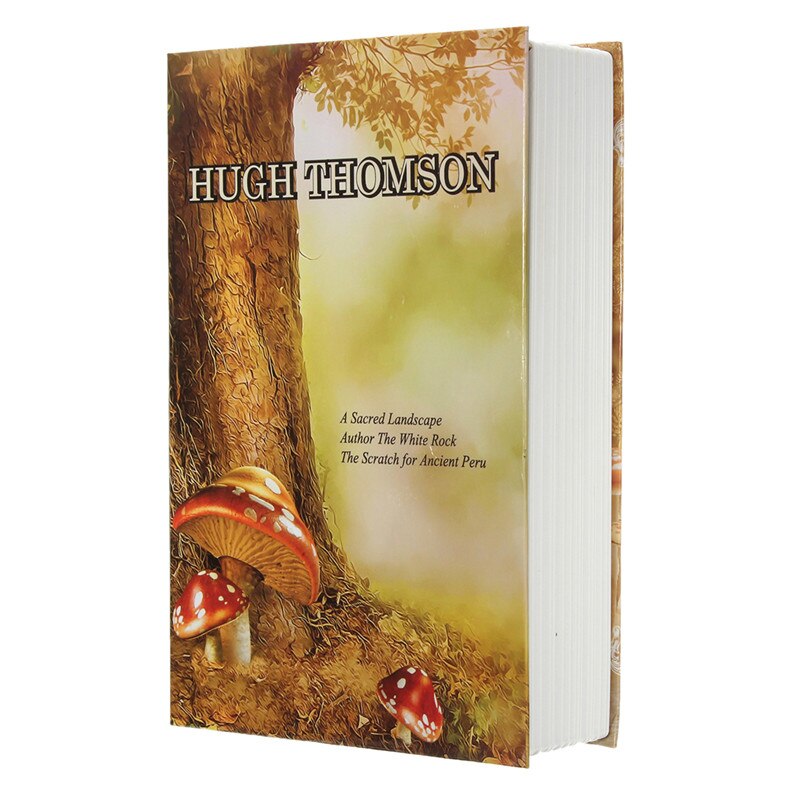 klucz Zamek książka sejfy ukryty sejf podróż Dom pieniądze biżuteria bezpieczeństwo stal symulacja książka 24.2*15*5.5cm