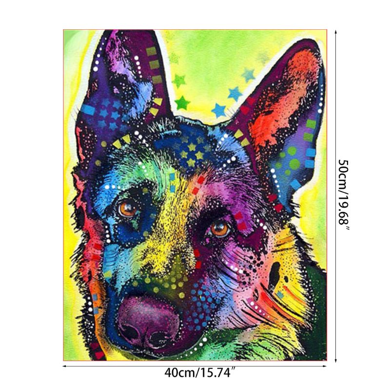Paint For Adults and Kids DIY Oil Painting Kits Pre-Printed Canvas Color Dog 2XPF