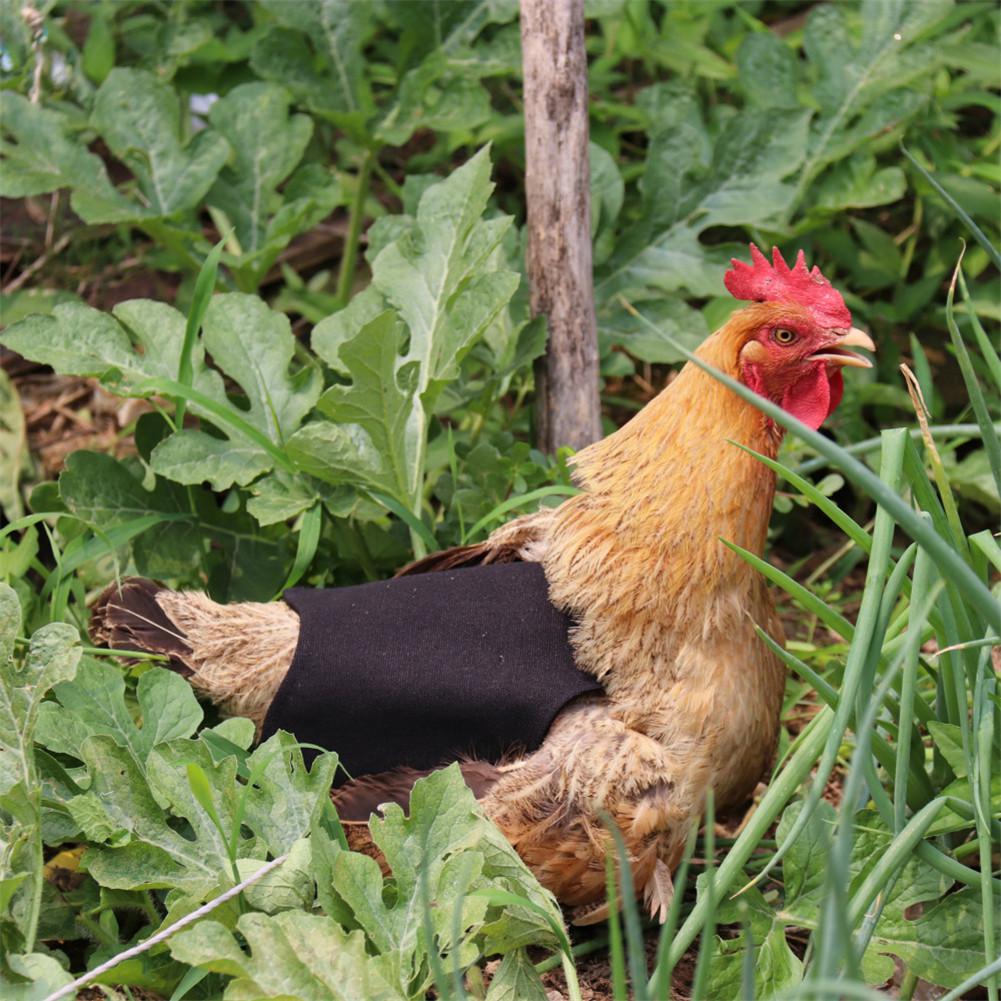 Vestiti per animali domestici regolabili grembiule da gallina pollame gallina sella grembiule supporto di protezione piuma pollo anatra ali protezione schiena vestito da gallina