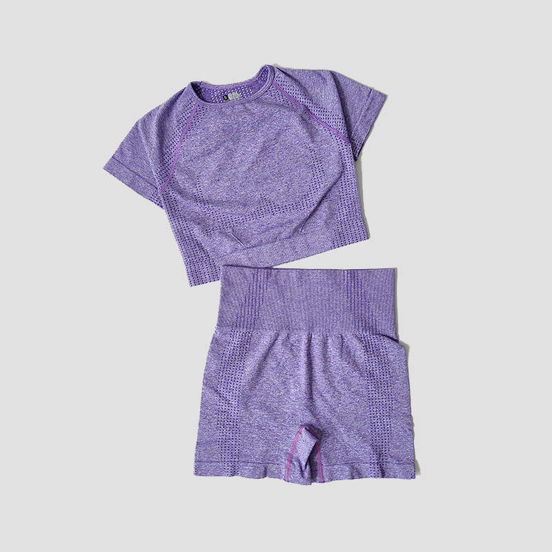 Conjunto de Yoga sin costuras para mujer, Top corto, camisa de manga corta, pantalones cortos de Fitness, ropa de entrenamiento para mujer, ropa de gimnasio, conjunto deportivo de Yoga: M / Rojo