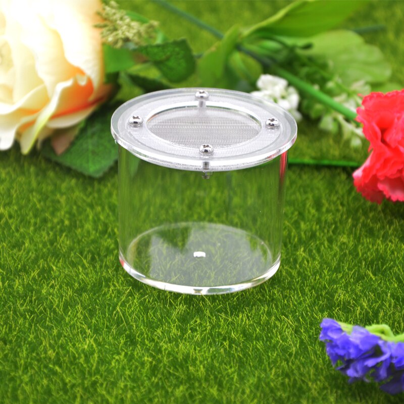 1PCS Acrylic spider box reptile tank song insect box ants farm house