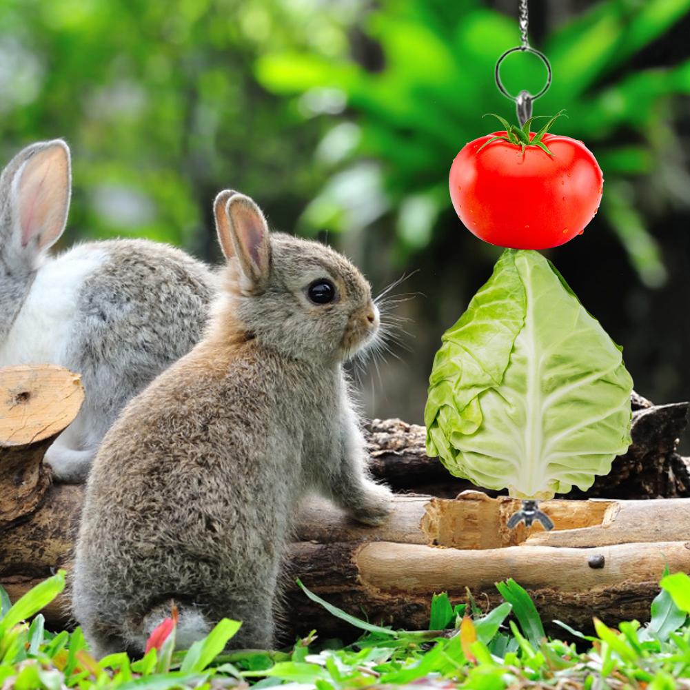 Bird Feeder Fruit And Vegetable Holder Rack Stainless Steel Duck Chicken Feeder Food Holder For Hens Birds Parrots Cockatoo