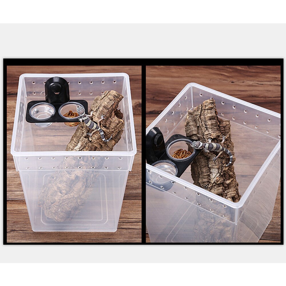 Reptile Box Climbing Pet Feeding Container Special Transparent Breeding Box for Spider Lizard Tree