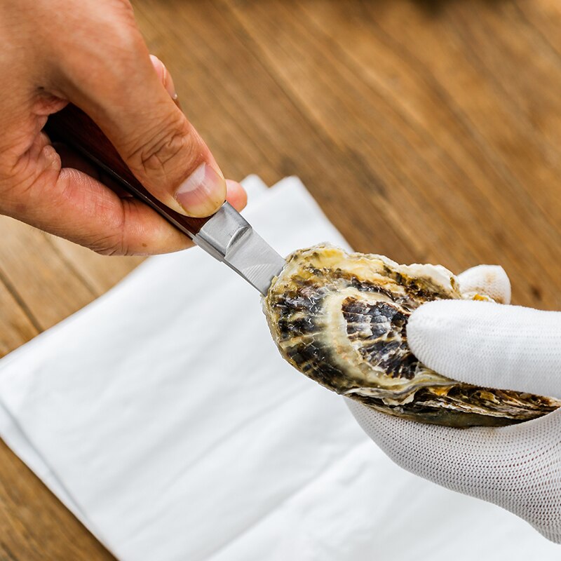 Dikke Rvs Oestermes Met Houten Handvat, Speciale Mes Voor Opening Oesters, Speciale Mes Voor Opening Oesters