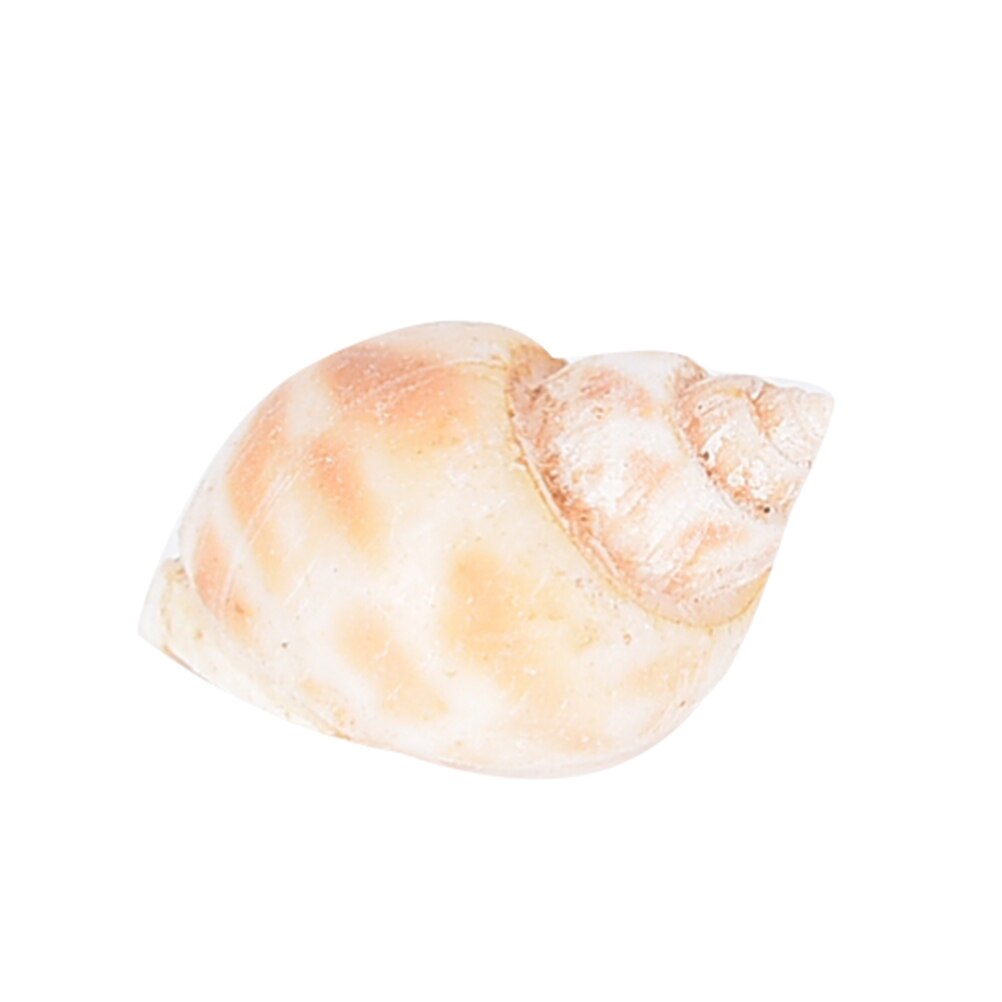 Aquarium Gemengde Bulk Schelpen Sier Strand Shell Tafel DIY Decor Craft