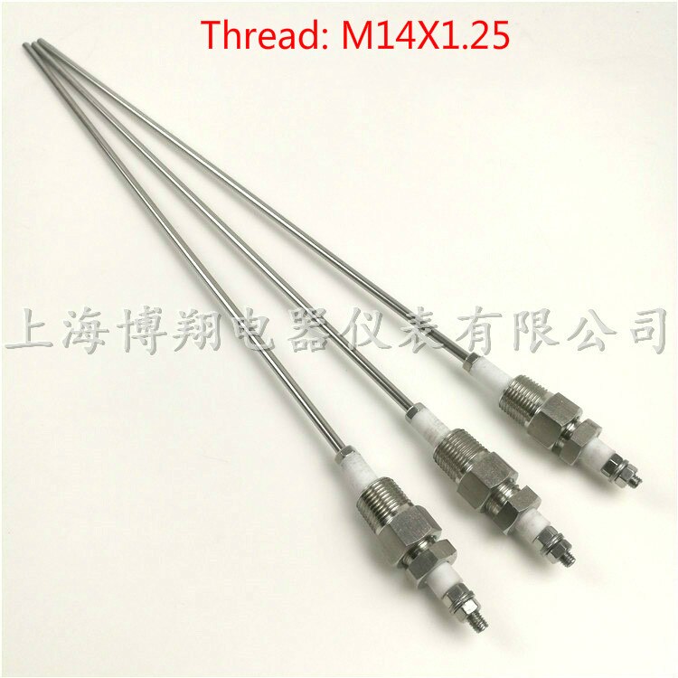 Boiler water level electrode, water level probe, stainless steel thread water level electrode, water level sensor. 2 /1 bags.: A
