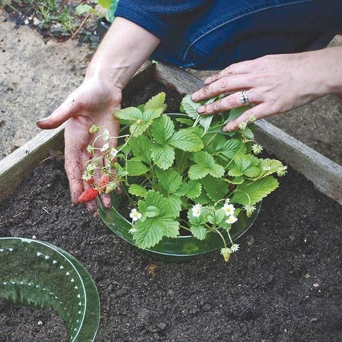 Schnecken resistente Blumentopf abdeckung, Pflanzens chutz hülle-landwirtschaft liche Schutz pflanzen abdeckung, Blumentopf