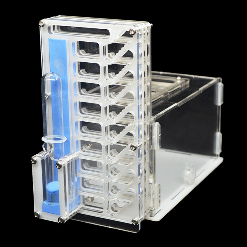 DIY Acrylic Ant Farm with Feeding Area Multi-layered Ant Nest Ant House for Pet Anthill Workshop Villa Insect Box 19*16*8.5cm: white