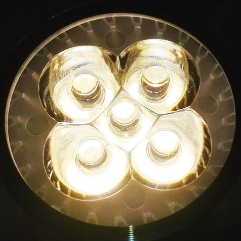 Luz LED para acuario para pecera, bombilla de coral de arrecife, luz de cultivo E27 para peces, plantas acuáticas, 10W: Gris