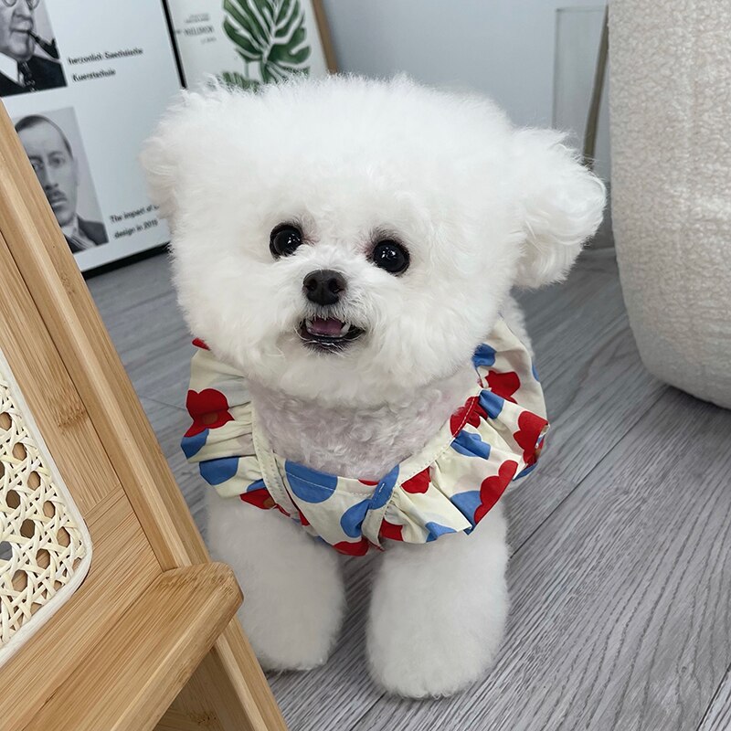 Letnia sukienka dla psa kot sukienki dla szczeniąt Chihuahua pomorskie Shih Tzu maltese Yorkshire pudel Bichon odzież dla małych psów spódnica
