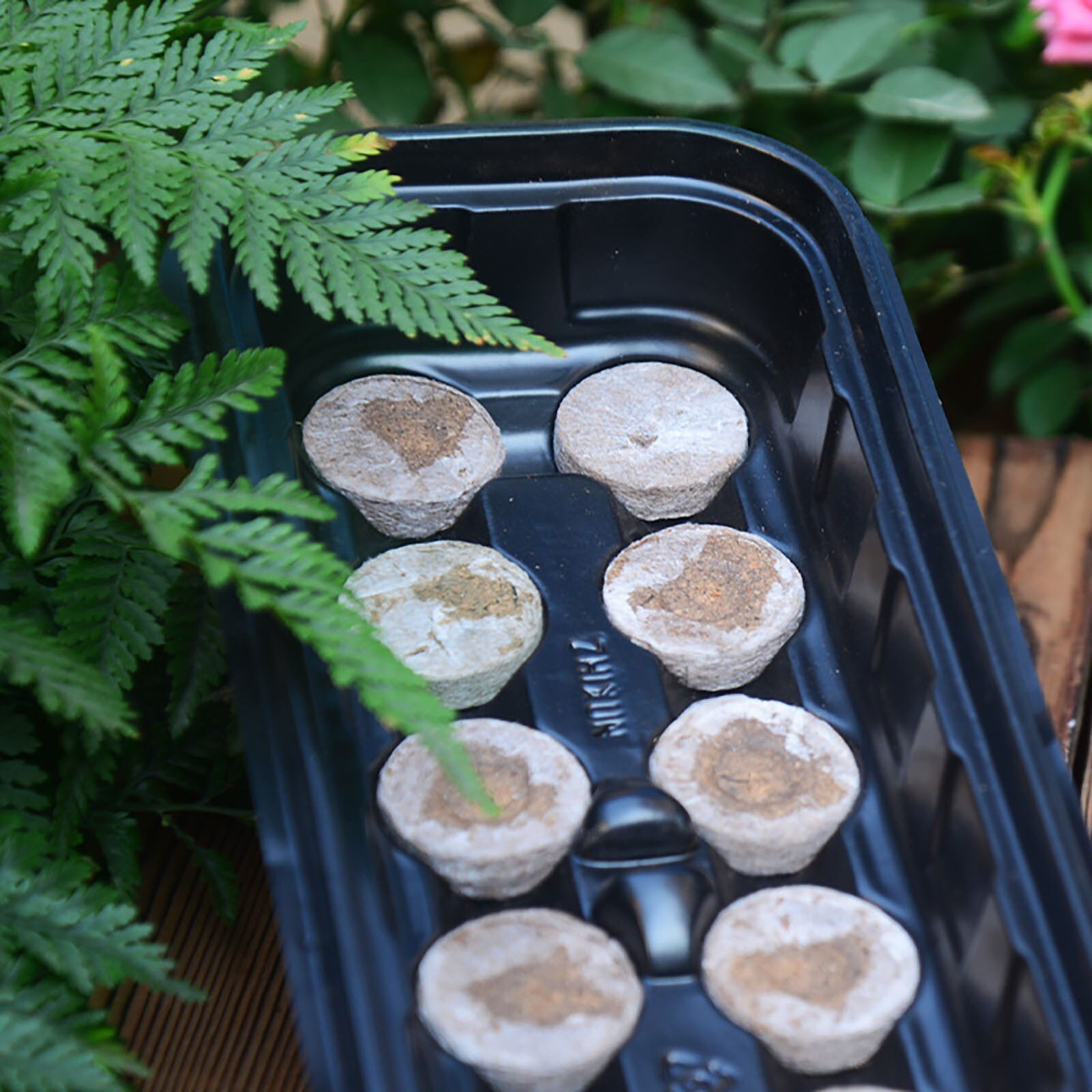 Long Sowing Seedling Tray With 12 Gr id Seedling Block Gardening Seed Box Home Gardening Seedling Tray