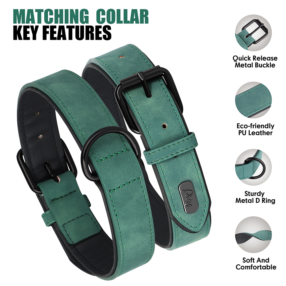 Ensemble de laisse de collier de chien en cuir PU, colliers de chiot rembourrés et souples, collier réglable pour animaux de compagnie avec plomb de marche pour petits et grands chiens carlin: XXL / WHITE