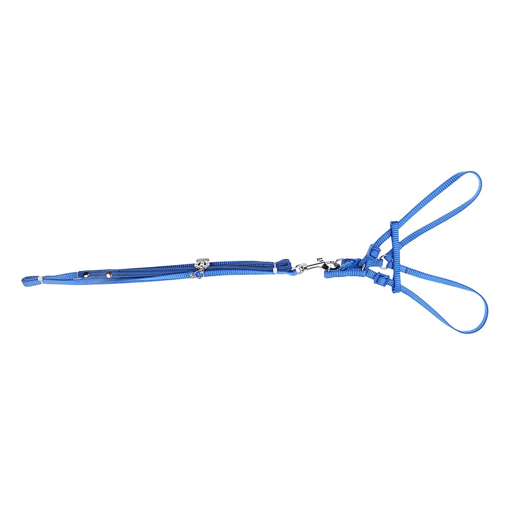 Reptile Lizard Gecko Bearded Dragon Harness And Leash Adjustable Light Anti-bite