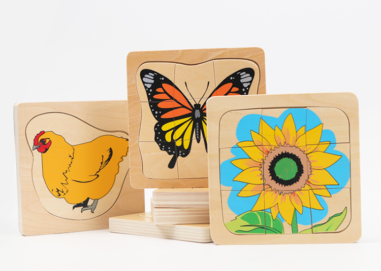 Multi Schichten Holz Puzzle Lebensdauer Zyklus von Mann Frau Frosch Sonnenblume Schmetterling Rätsel für freundlicher Montersial Wissenschaft Materialien