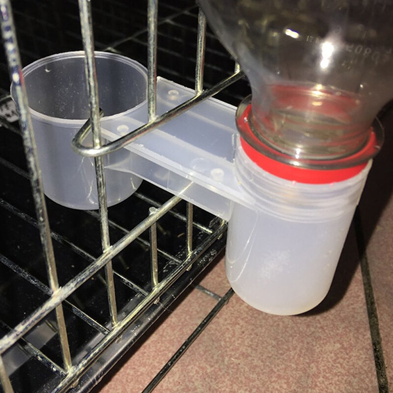 Pigeon double bouche d'eau guide Perroquet mainate abreuvoir Domestique mangeoire pour oiseaux facile À fixer pratique Et durable
