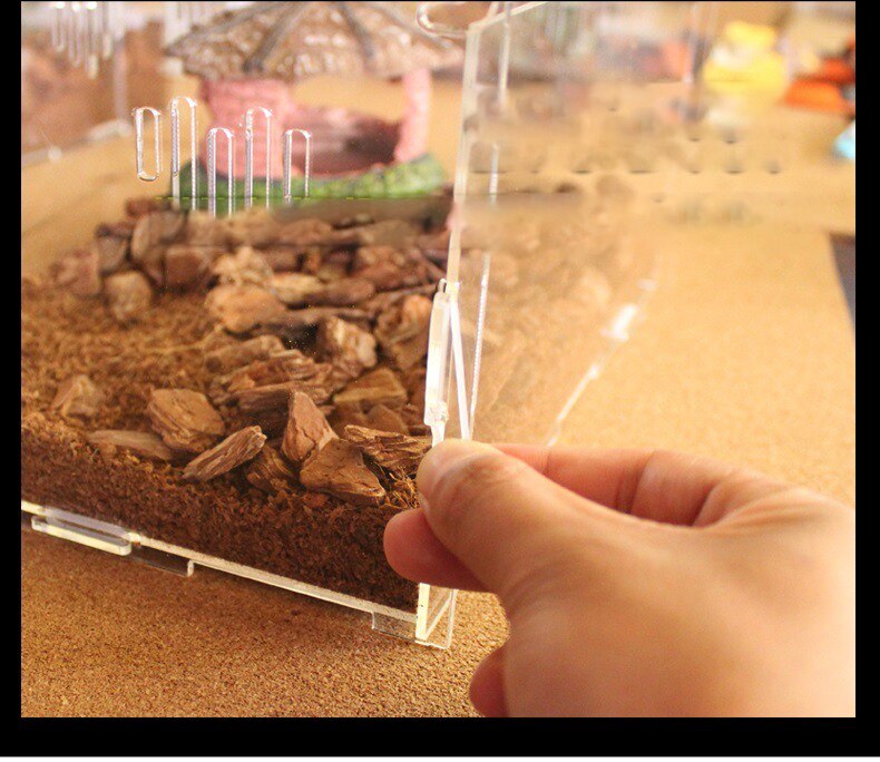 Reptiel Fokkerij Doos Acryl Transparante Spin Hagedis Schorpioen Enti &#39;S Acryl Gemonteerd Insect Ademend Terrarium